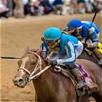 horses to bet on in kentucky derby